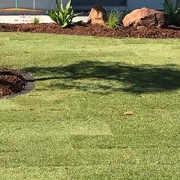 Fresh turf in front garden