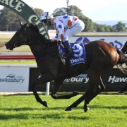 Horse racing at Mackay turf club