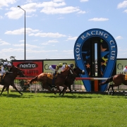 Horses racing on Moe racing club turf