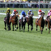 Horses racing on Mowbray racecourse