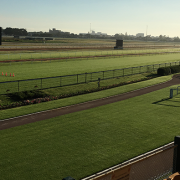 Turf at Newcastle jockey club