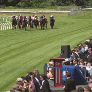 Horse race at Toowoomba race track