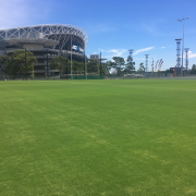 NRL training facility turf