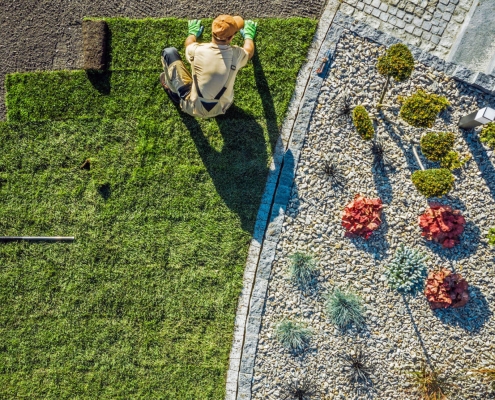 roll out turf