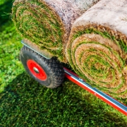 grass rolls