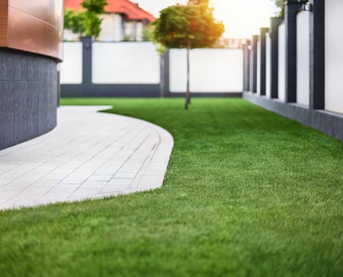 Beautiful view on cute backyard in sunny day, fresh green grass lawn in sunlight, landscaping in the garden, beauty of summer season.