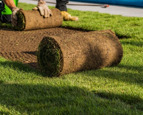 instant turf