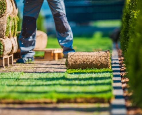 instant turf